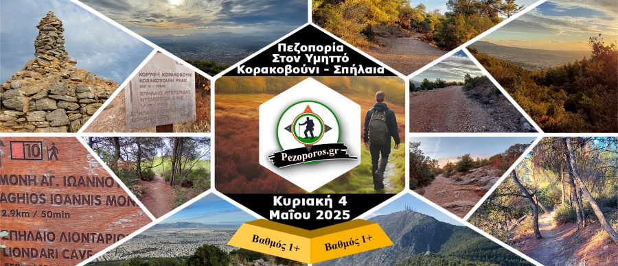 Main Korakovouni2025